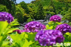 ����O�����Ǝ��z��