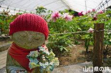 �������̉��O��