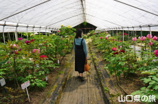 �������̉��O��