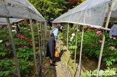 �������̉��O��