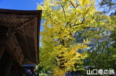 �ԓc�_�Ђ̃C�`���E