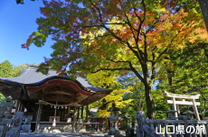 �ԓc�_�Ђ̃C�`���E