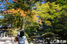 �ԓc�_�Ђ̍g�t