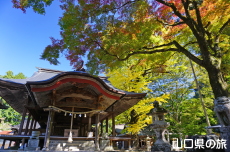 �ԓc�_�Ђ̃C�`���E