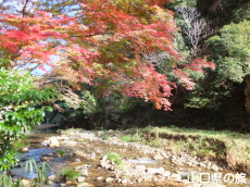 �ԓc�_�Ђ̍g�t