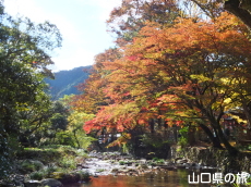 �ԓc�_�Ђ̍g�t