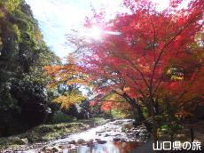 �ԓc�_�Ђ̍g�t