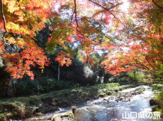 �ԓc�_�Ђ̍g�t