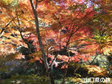 �ԓc�_�Ђ̍g�t