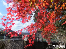 �ԓc�_�Ђ̍g�t�v