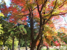 �ԓc�_�Ђ̍g�t