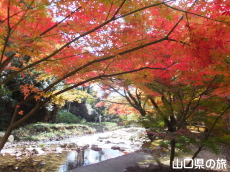 �ԓc�_�Ђ̍g�t