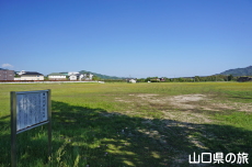 ���h���K�i�ՁB