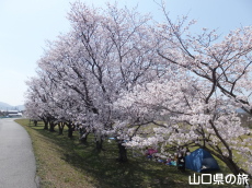 ����͐�����̍�����