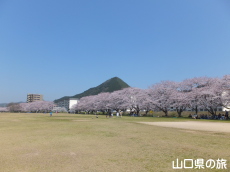 ����͐�����̍�����