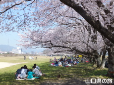 ����͐�����̍�����