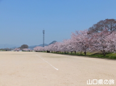 �����^�������̍�