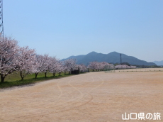 �����^������