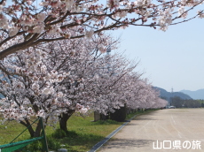 �����^�������̍�