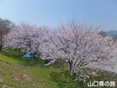 �����^�������̍�