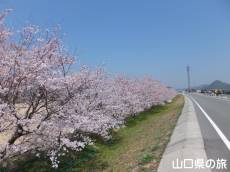 �����^�������̍�