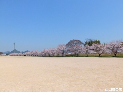 �����^�������̍�