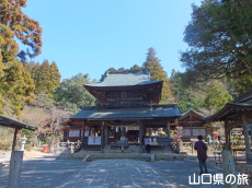 �ÌF�_�Ђ̔q�a