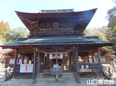 �ÌF�_�Ђ̔q�a