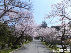 �ÌF�_�Ђ̍�