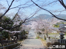 �ÌF�_�Ђ̍�