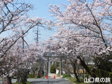 �ÌF�_�Ђ̍�