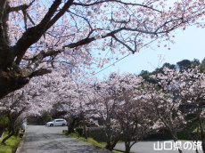 �ÌF�_�Ђ̍�