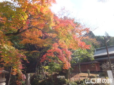 �ÌF�_�Ђ̍g�t