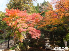 �ÌF�_�Ђ̍g�t