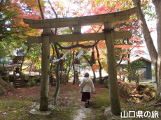 �ÌF�_�Ђ̍g�t