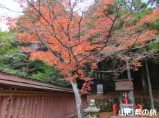 �����䗅�_��