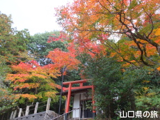 ���X��א_��