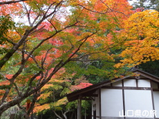 ���X��א_��