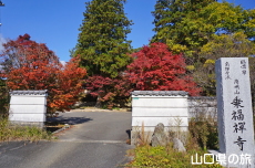 �敟���̍g�t