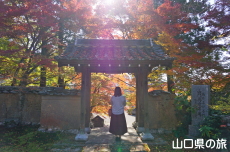 �敟���̍g�t