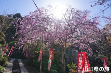 ���d�g�}����