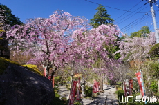 ���d�g�}�����ƈ�d�}�����