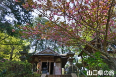 ��ߎR����@