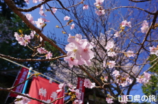 �g��s���N