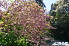 ���d�g�Ղ̔�