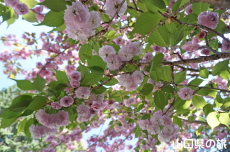 �S���t����