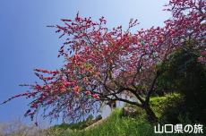 ������ԓ�