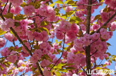 ���d�g�Ղ̔�