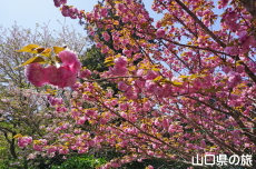 ���d�g�Ղ̔�