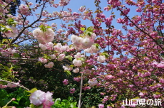 ���d�g�Ղ̔��Ə�����